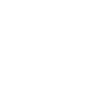 icons8-stepper-100